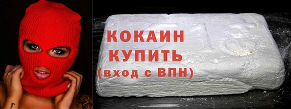 эйфоретик Вяземский