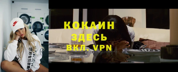 эйфоретик Вяземский