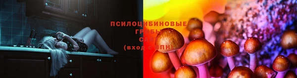 эйфоретик Вяземский
