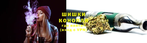эйфоретик Вяземский