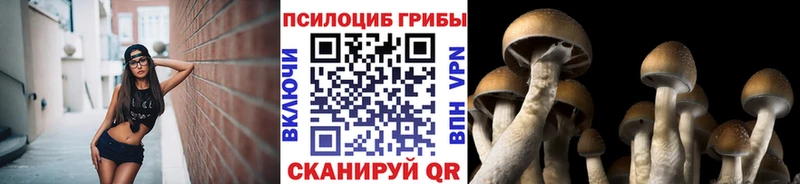 blacksprut как зайти  купить наркоту  даркнет официальный сайт  Псилоцибиновые грибы Magic Shrooms  Ермолино 